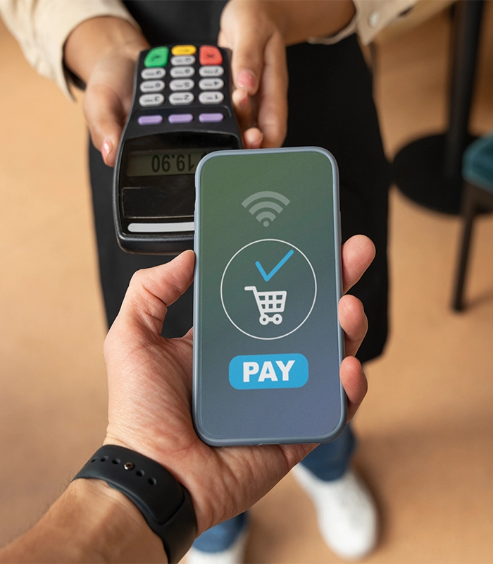 Payment Solution Provider