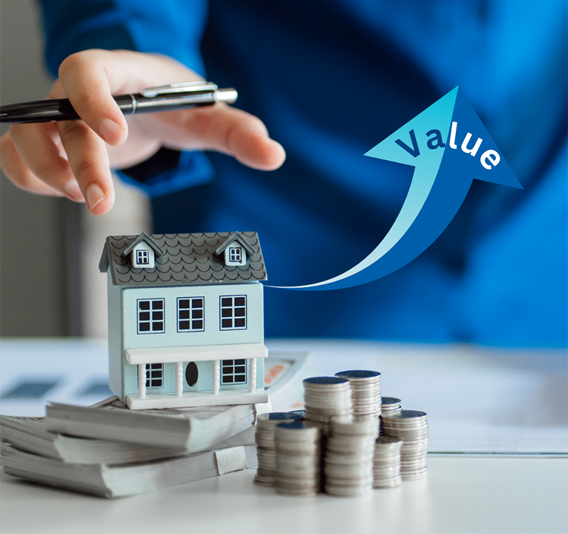 shahi international value image